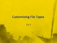 Customizing File Types