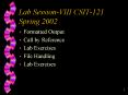 Lab Session-VIII CSIT-121 Spring 2002 PowerPoint PPT Presentation