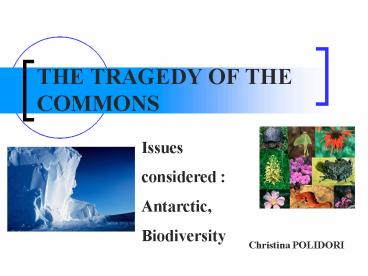 THE TRAGEDY OF THE COMMONS presentation | free to view