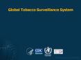 Global Tobacco Surveillance System PowerPoint PPT Presentation