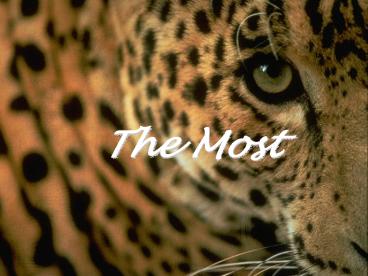 The Most
