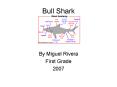 Bull Shark PowerPoint PPT Presentation
