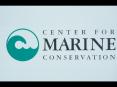 PowerPoint Presentation  -  Marine Conservation Slide Show PowerPoint PPT Presentation