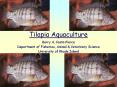 Tilapia Aquaculture PowerPoint PPT Presentation