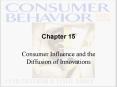 Consumer Influence and the Diffusion of Innovations PowerPoint PPT Presentation
