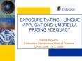 EXPOSURE RATING  PowerPoint PPT Presentation