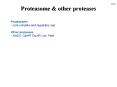 Proteasome PowerPoint PPT Presentation