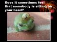 Does it sometimes feel that somebody is sitting on your head? PowerPoint PPT Presentation