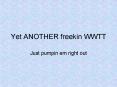 Yet ANOTHER freekin WWTT PowerPoint PPT Presentation