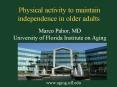 Physical activity to maintain independence in older adults PowerPoint PPT Presentation