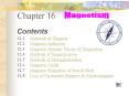 Magnetism PowerPoint PPT Presentation