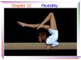 Flexibility PowerPoint PPT Presentation