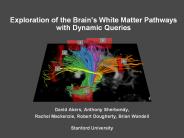 Exploration of the Brain