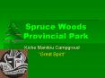 Spruce Woods Provincial Park PowerPoint PPT Presentation