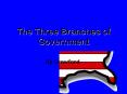 The Three Branches of Government PowerPoint PPT Presentation