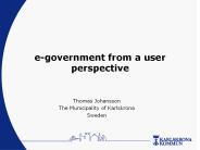 e-government from a user perspective