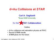d Au Collisions at STAR