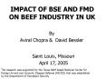 IMPACT OF BSE AND FMD ON BEEF INDUSTRY IN UK PowerPoint PPT Presentation