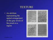 TEXTURE