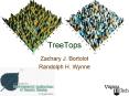 TreeTops PowerPoint PPT Presentation