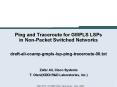 Ping and Traceroute for GMPLS LSPs in Non-Packet Switched Networks  draft-ali-ccamp-gmpls-lsp-ping-traceroute-00.txt    Zafar Ali, Cisco Systems T. Otani(KDDI R PowerPoint PPT Presentation
