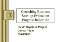 Consulting Business Startup Evaluation Progress Report