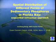 Spatial Distribution of