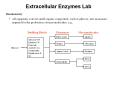 Extracellular%20Enzymes%20Lab PowerPoint PPT Presentation