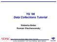TG 06 Data Collections Tutorial PowerPoint PPT Presentation