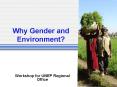 Why Gender and Environment PowerPoint PPT Presentation