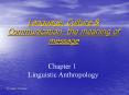 Language,%20Culture%20 PowerPoint PPT Presentation