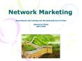 Network Marketing PowerPoint PPT Presentation