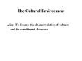 The Cultural Environment PowerPoint PPT Presentation