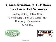 Characterization%20of%20TCP%20flows%20over%20Large-Fat%20Networks