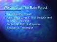 Welcome to The Rain Forest PowerPoint PPT Presentation