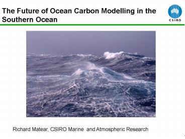 The Future of Ocean Carbon Modelling in the Southern Ocean