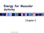 Energy For Muscular Activity