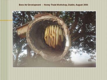 Bees for Development Honey Trade Workshop, Dublin, August 2005