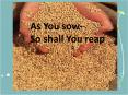 As You sow PowerPoint PPT Presentation