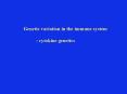 Genetic variation in the immune system PowerPoint PPT Presentation