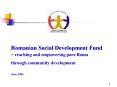 The Romanian Social Development Fund and its  Contribution to   Human and Social Development PowerPoint PPT Presentation