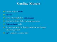 Cardiac Muscle