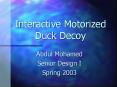 Interactive Motorized Duck Decoy PowerPoint PPT Presentation