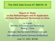 The NSS Side Event AT SBSTA 18