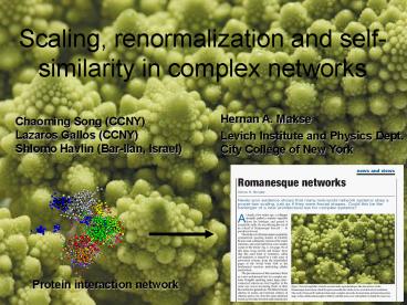 Scaling, renormalization and self-similarity in complex networks