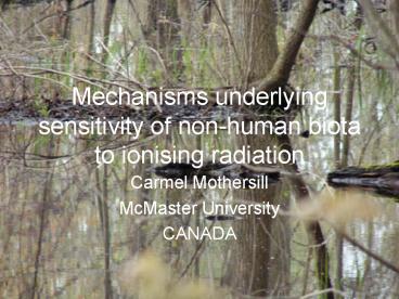 Mechanisms underlying sensitivity of nonhuman biota to ionising radiation