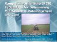 Ramp%20Calibration%20Strip%20(RCS)%20Technology%20for%20Determining%20Mid-Season%20N%20Rates%20in%20Wheat%20and%20Corn PowerPoint PPT Presentation