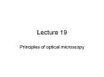Principles%20of%20optical%20microscopy PowerPoint PPT Presentation