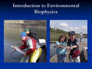 presentation player overlay