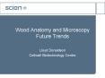 Wood Anatomy and Microscopy Future Trends PowerPoint PPT Presentation